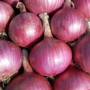 Onion Powder