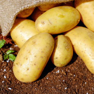 Potato Powder