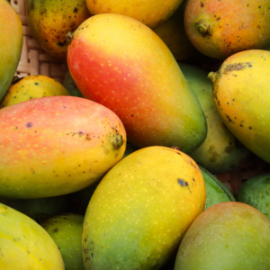 Dehydrated Mango Slices/විජලනය කල අඹ