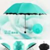 Magic Umbrella / මල් පිපෙන කුඩ