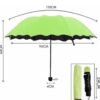 Magic umbrella /මල් පිපෙන කුඩ😍