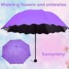 Magic Umbrella /මල් පිපෙන කුඩ