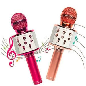 WS 858 Microphone /WS 858 මයික්‍රෝෆෝන්