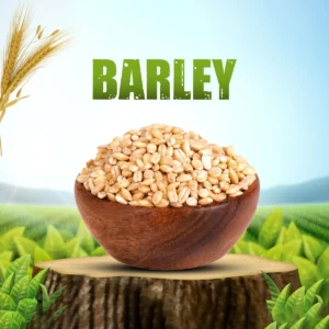 Catch Barley - 250.00 g