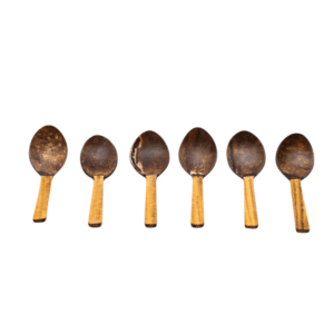 Coconut Shell Spoons - 1 Spoon