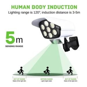 2178T Outdoor Solar Light