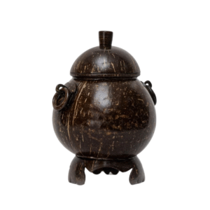 Coconut Shell Pot