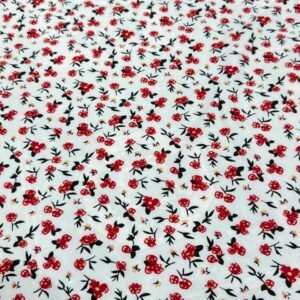 Cool Maza printed Fabric