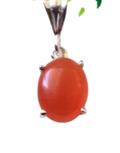 Orginal Onex Pendant